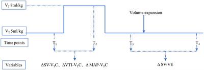 Tidal volume challenge–induced hemodynamic changes can predict fluid responsiveness during one-lung ventilation: an observational study